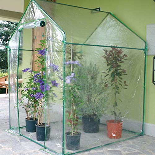 Verdemax Clematis Serra 155 x 155 x h 205