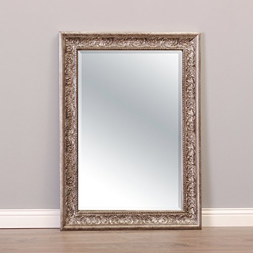 Pompöser Barock Spiegel FIORA 90x70cm Silber – Antik - 2