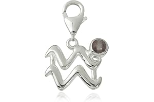 TEMPELWELT Charm Sternzeichen Anhänger Wassermann 15mm, 925 Sterling Silber mit Fluorit Edelstein grau, Sternbild für Armband Kette