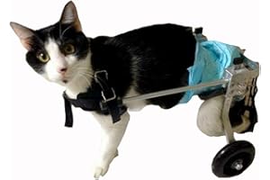 CORA PET Harnais de Soutien pour Chien, Fauteuil Roulant pour Chat Lapin Handicapé Réadaptation pour Patte Arrière/Jambe Arrière, Aide à Marcher, Chariot pour Les Animaux âgés et Blessés