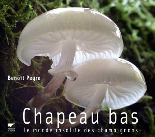couverture de : Chapeau bas