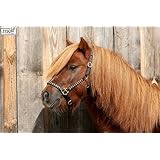 Lederhalfter MAX Showhalfter Leder Strass Glitzer Hafter Schwarz Gold Farben Messing Minishetty Mini Shetty Minipony Tysons (MS)