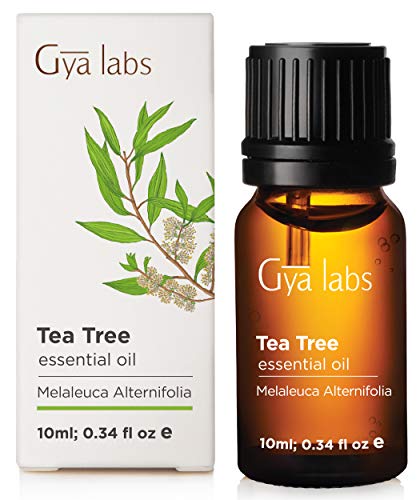 Tea Tree (Australia) - 100% puro, non diluito, biologico, naturale e terapeutico di olio essenziale per aromaterapia diffusore, salute della pelle e Relaxtion 10 ml - Gya Labs
