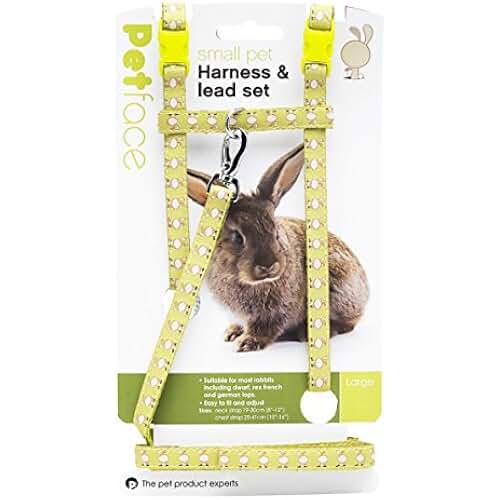 Amazon.co.uk Rabbit Collars, Leads & Harnesses / Small Animals Pet