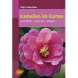 Kamelien im Garten: Auswählen, pflanzen, pflegen