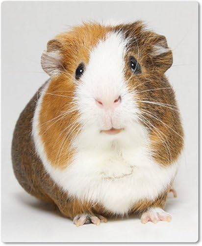 Fabric Mouse Mat Rubber Backed Non-Slip For All Types Of Mice, Guinea Pig [07]
