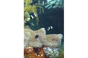 Dive Log-Buch - Tauchlogbuch: DIN A6 mit 50 Seiten - um Ihre schönsten Tauchgänge festzuhalten
