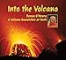 Into the Volcano: A Volcano Researcher at Work by 