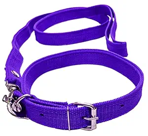 VRCT 1.25 Inch Designed Dog Collar Belt, 1.5M-2M LENGTHY Dog Dog Collar & Leash (Medium, Multi Color)