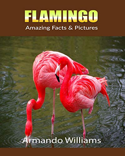 Preisvergleich Produktbild Flamingo: Amazing Facts & Pictures