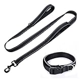 Hundeleine Halsband Set : Gepolstert und ergonomisches Design machen diesen Hund Leine und Kragen sehr komfortabel für beide Sie und Ihr Hund
