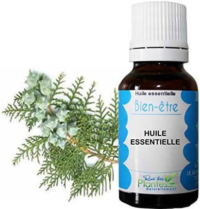 Essential Oil of Cypres