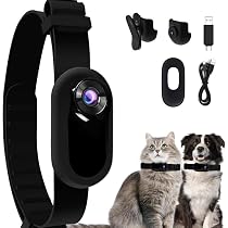 Fiorky Dog Cat Collar HD 1080P Wireless No Need WiFi Nanny Camera ...