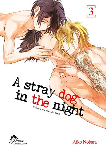 A Stray Dog in the night — Tome 3