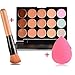 15 Colors Contour Face Cream Makeup Concealer Palette + Sponge Puff Powder Brush
