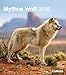 Mythos Wolf 2015 by 
