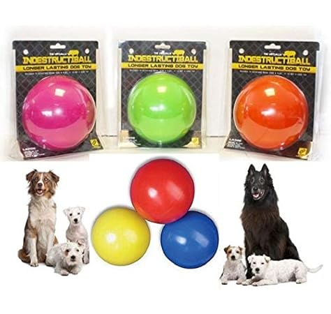 boomer ball for dogs