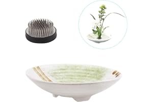 WANDIC - Set di 2 vasi Rotondi con Rana e Ikebana in Ceramica per composizioni Floreali Ikebana, Decorazione per la casa, a Forma di Piatto, Colore: Bianco
