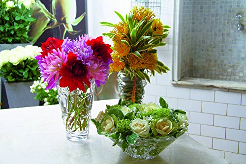 Spiegelau & Nachtmann, Vase, Kristallglas, 24 cm, 0081411-0, Slice - 6