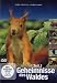 Geheimnisse des Waldes Teil 1-3 [3 DVDs]