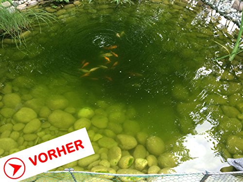 ALGENKILLER Protect® 75 g für 5.000 Liter • Wasserpflege für Gartenteiche und Schwimmteiche - 2