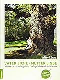 Vater Eiche, Mutter Linde: Bäume als Seelenbegleiter, Kraftspender und Verbündete by 