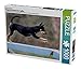 Produktbild Ein Motiv aus dem Kalender Fliegende Hunde beim Agility 1000 Teile Puzzle quer (CALVENDO Tiere)