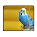 Produktbild Mouse Pad, Cute Funny Bird Mouse Pads, Magic Keyboard PC Gaming Optical Laptop Wired SurfaceMouse Pad Mat for Women Men at Home or Work