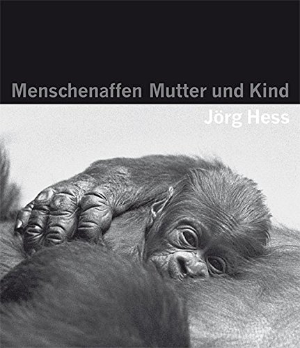 Download Menschenaffen - Mutter und Kind Download Menschenaffen - Mutter und Kind