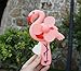 Produktbild UChic 1 Stücke Tragbare Kleine Kunststoff Flamingo Form Cartoon Sommer Fans Hand Druck Fan Geburtstagsfeierbevorzugung