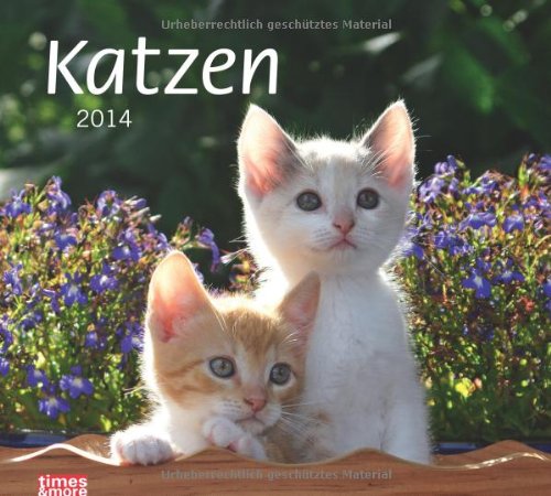 times & more Bildkalender Katzen 2014