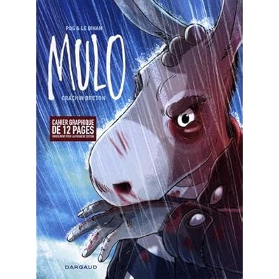 Mulo - tome 1 - Crachin breton