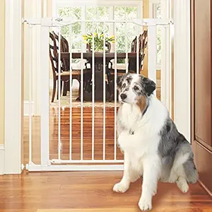 MYPET North States Tall Happy Tails Walk Thru Pet Gate: Extra-Tall 36? and Extra-Wide 22? Door with Hold-Open Feature. Pressure Mount. Fits 29.75?-37.5? Wide (36? Tall, White)