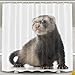 Produktbild CHATAE Every Day is Special Duschvorhang mit Frettchen, wasserdicht, Polyester, dekorativ, 60183 cm