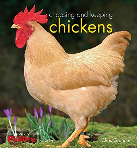 Download Choosing and Keeping Chickens Download Choosing and Keeping Chickens