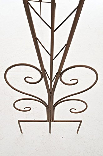 CLP Rosenbogen ELLEN, Metall, pulverbeschichtet, Höhe 245 cm, Größe 160 cm x 35 cm antik braun - 8