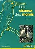 Les oiseaux du marais