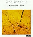 Image de Spektrum-Bibliothek, Bd.20: Auge und Gehirn. Neurobiologie des Sehens