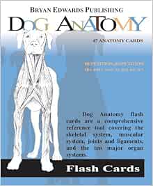 Dog Anatomy: Amazon.co.uk: Flash Anatomy: 9781878576170: Books