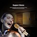 UHF-Funkmikrofon-Set-LESHP-Tragbar-wireless-Mikrofon-mit-2-x-Metall-Handmikrofon-goldenSilber-fr-Kareoke-KTV-Schallquelle-Aufnahme-und-Verstrkung-Konzerte-Konferenz-Musical-Oper-Schule-Partei-usw