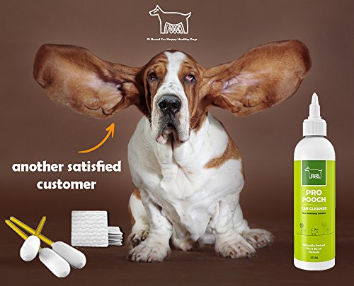 Pro-Pooch-Dog-Ear-Cleaner-250-ML-Stop-Itching-Head-Shaking-Smell-in-3-Days-Gentle-Solution-For-Dogs-With-Mites-Yeast-Itching-Ear-Odour-Naturally-Derived-Plant-Based-Formula