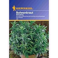 Bohnenkraut mehrjährig