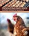 Produktbild Producing Safe Eggs: Microbial Ecology of Salmonella