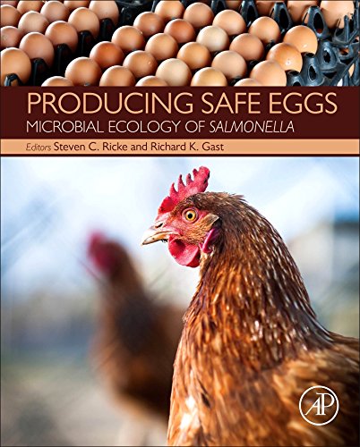 Preisvergleich Produktbild Producing Safe Eggs: Microbial Ecology of Salmonella