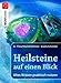 Heilsteine auf einen Blick: Altes Wissen praktisch nutzen by Flora Peschek-Böhmer, Gisela Schreiber