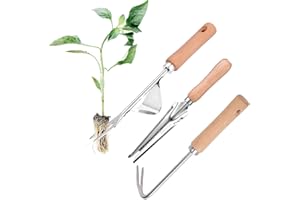 Lotvic 3 pezzi per erbacce a mano, per erbacce Weeder, erbacce con gambo, erbacce manuale, per il giardino, il trapianto, lo sradicamento