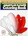 Produktbild AMARYLLIS FLOWER Coloring book for Adults Relaxation  Meditation Blessing: Sketches Coloring Book  Grayscale pictures
