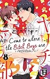 Come to where the Bitch Boys are 03 by 