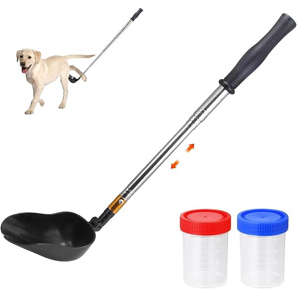 Urinteststreifen Für Haustiere - 100 Tests Für Hunde Und Katzen