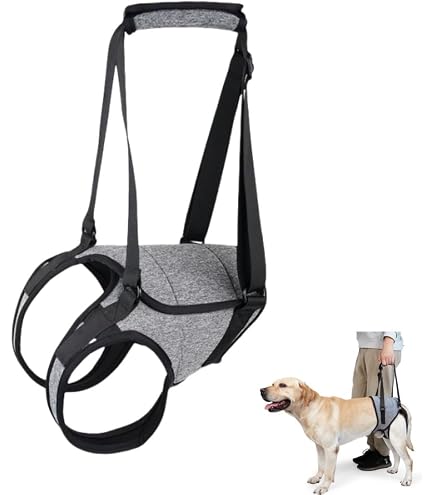 Pettorina Per Cani, Tessuto Scamosciato Morbido Al Tatto Pettorina Per Animali Domestici Gilet Riflettente Regolabile Senza Imbracatura Per Cuccioli Cani Di Taglia Piccola E Media M 77679086 - 11